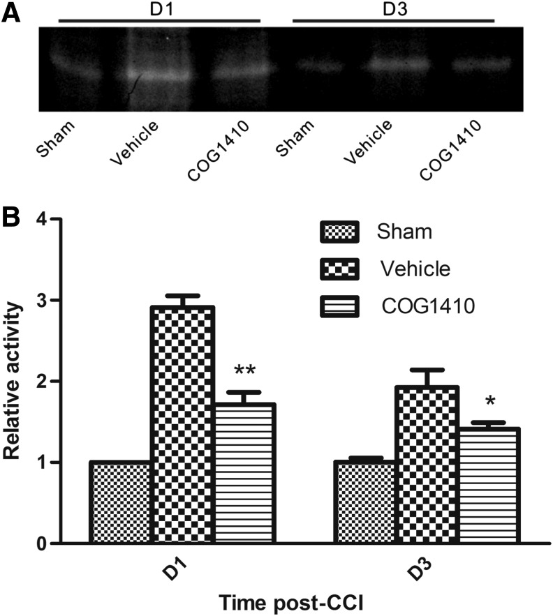 FIG. 4.