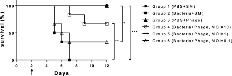 Fig. 5