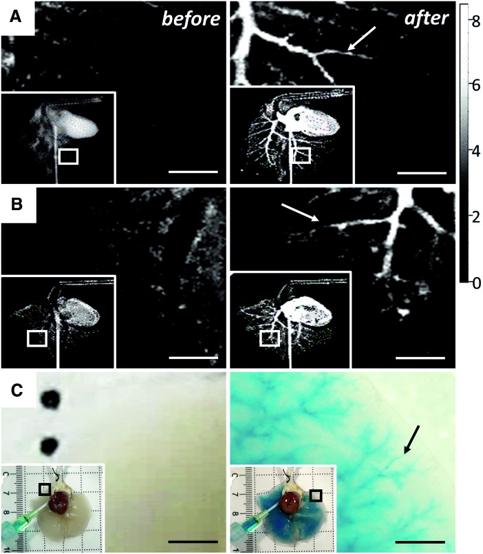 FIG. 2.