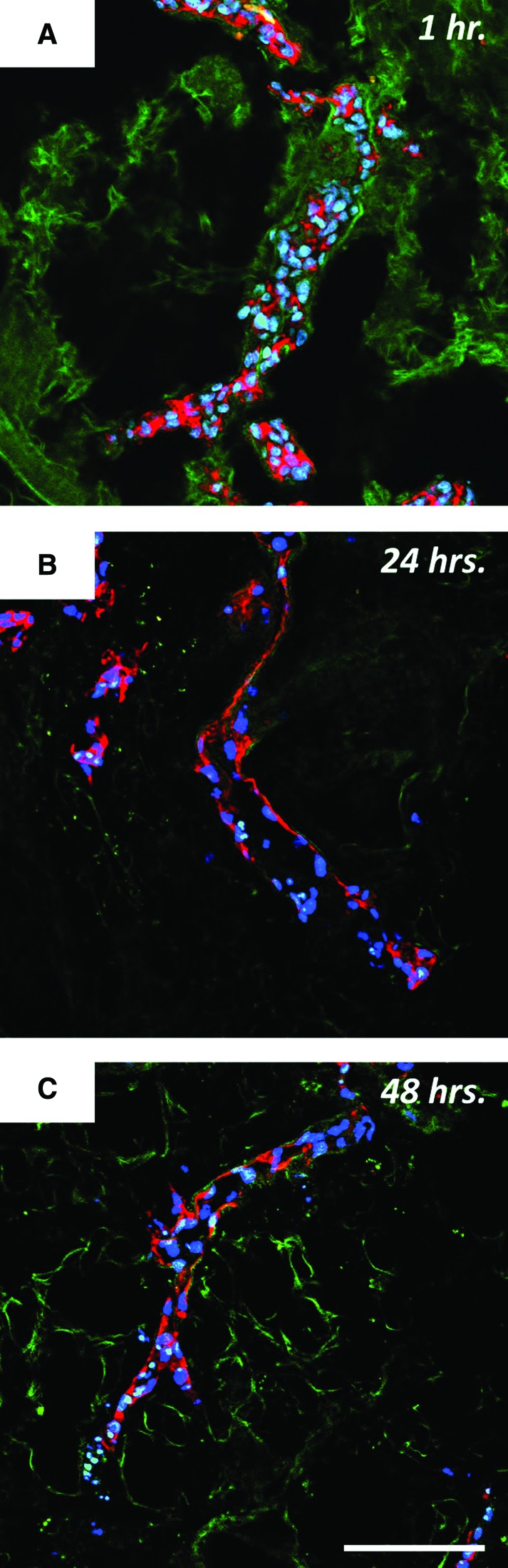 FIG. 8.