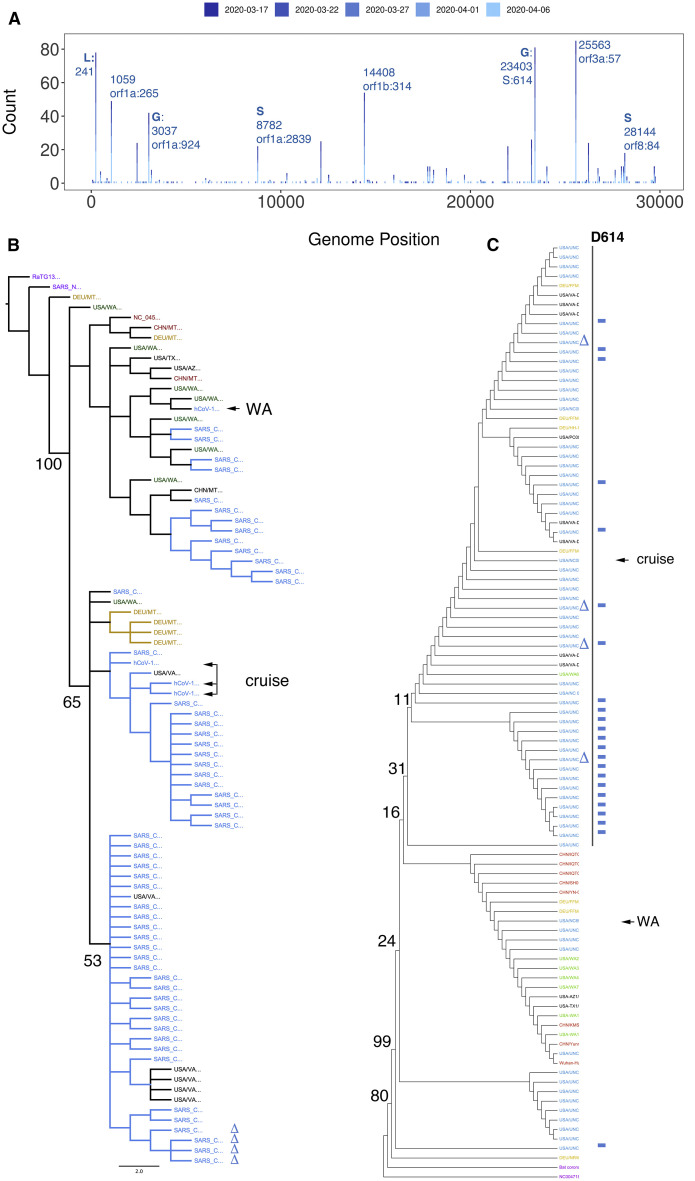 Figure 2