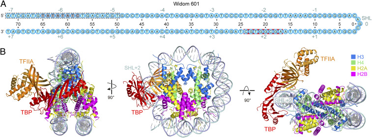 Fig. 3.