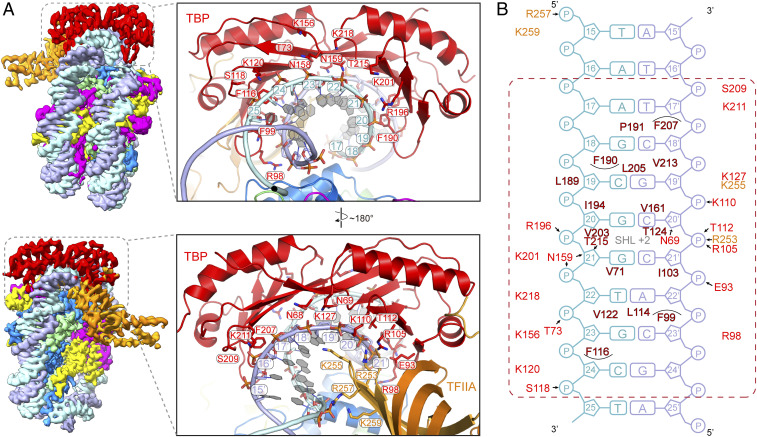 Fig. 4.