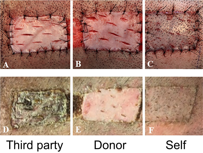 Figure 5