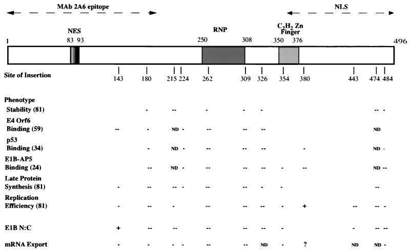 FIG. 7.