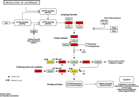 Figure 11