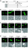 FIG. 4.