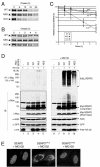 FIG. 8.