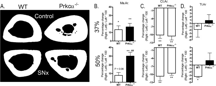 FIGURE 11.