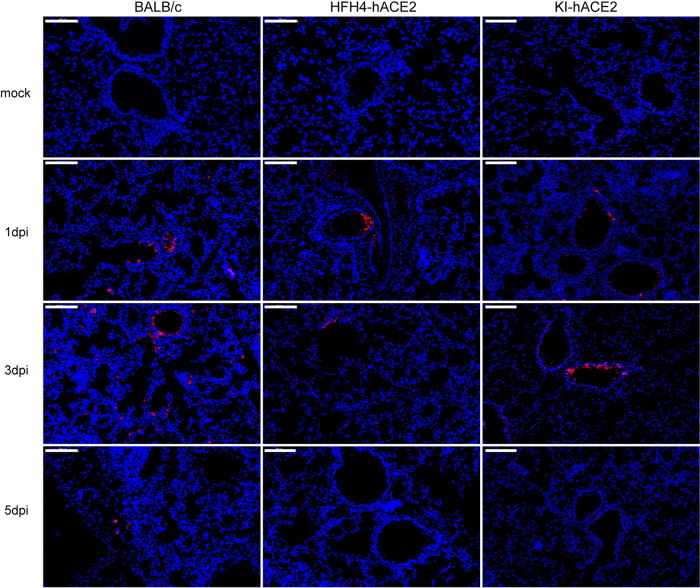 FIG 6