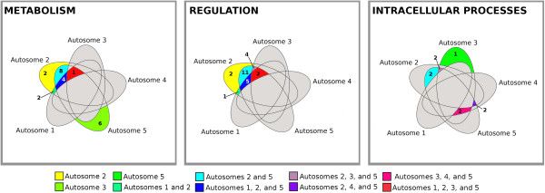 Figure 8