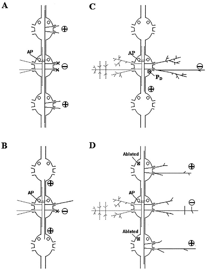 Fig. 8.