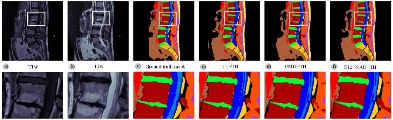 Fig. 7