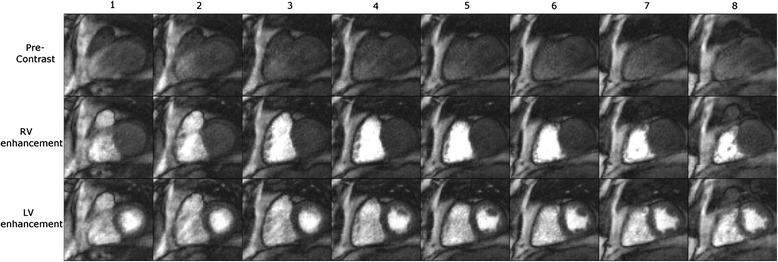 Fig. 9