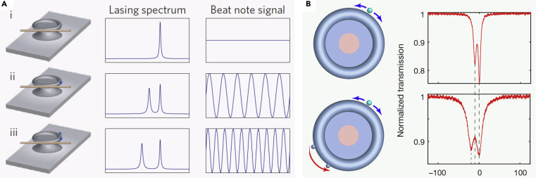 Figure 6