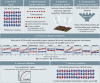 Graphical Abstract