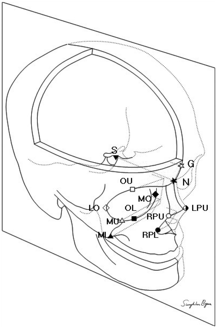 Fig. 1