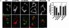 Fig. 3.