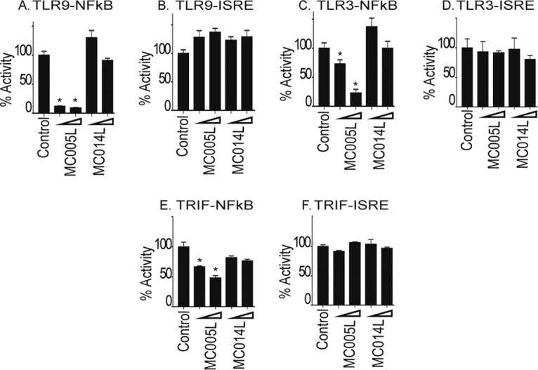 FIG 2