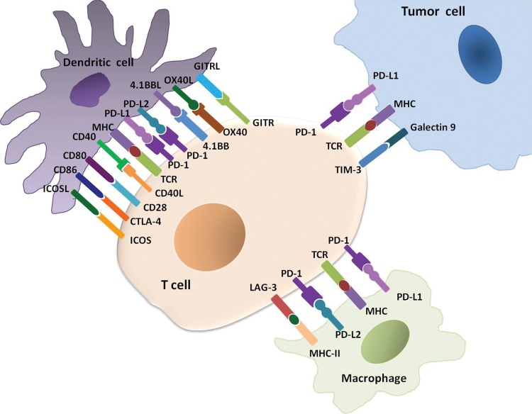 Figure 1: