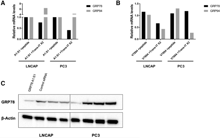 Figure 4