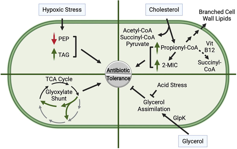 Figure 2