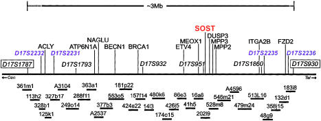 Figure  3