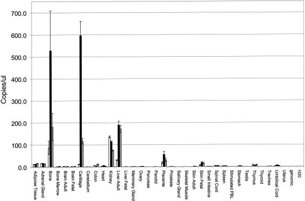 Figure  7