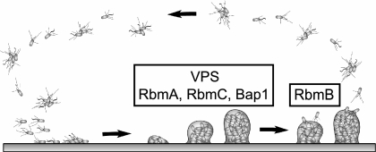 FIG. 11.