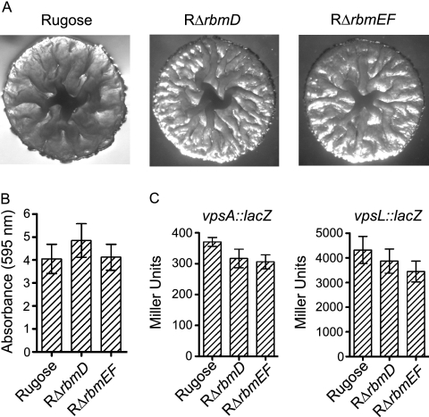 FIG. 9.