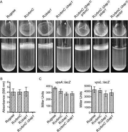 FIG. 6.