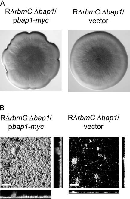 FIG. 8.