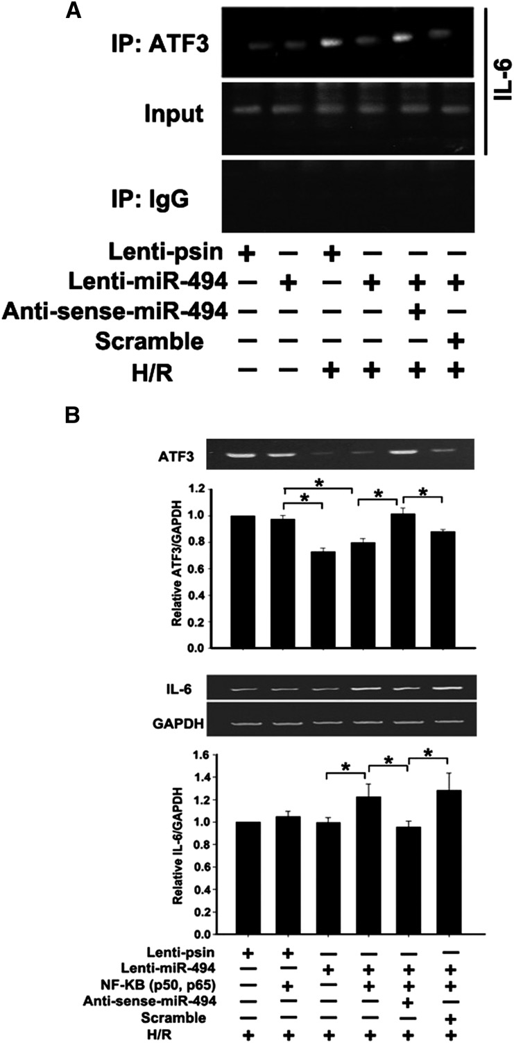 Figure 6.