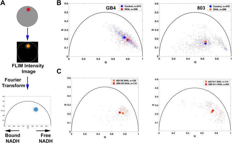 FIG 4