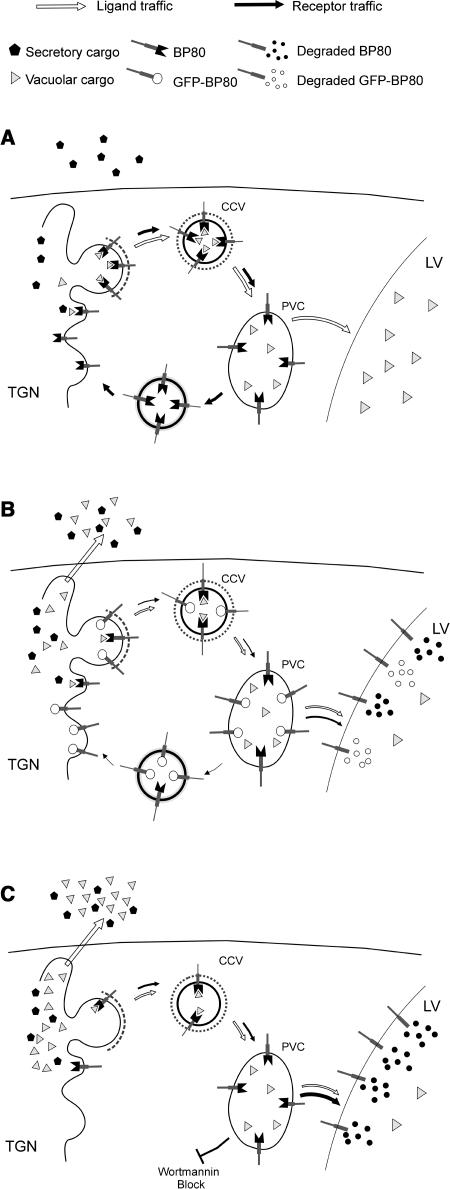 Figure 10.