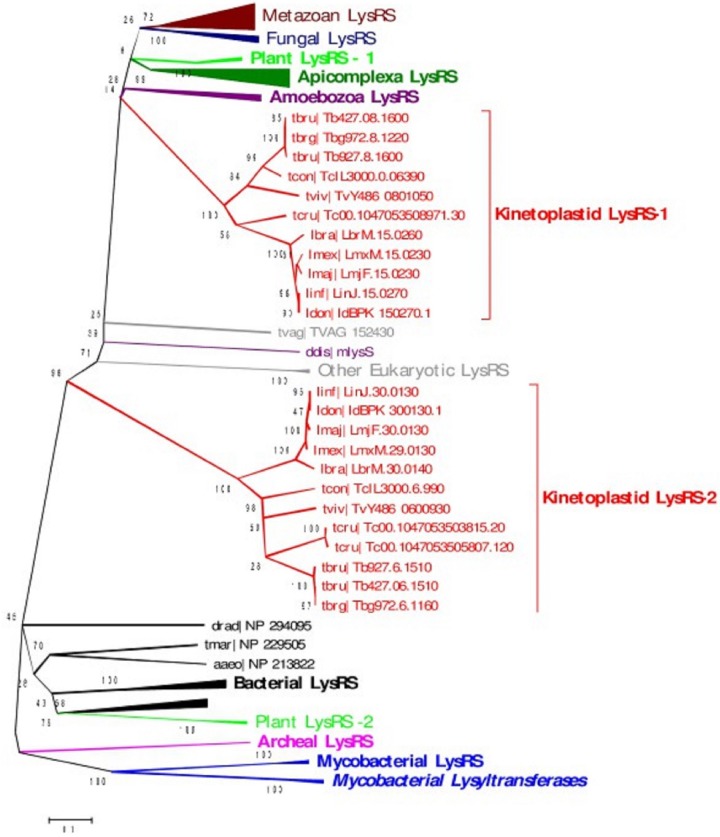 FIG 2 