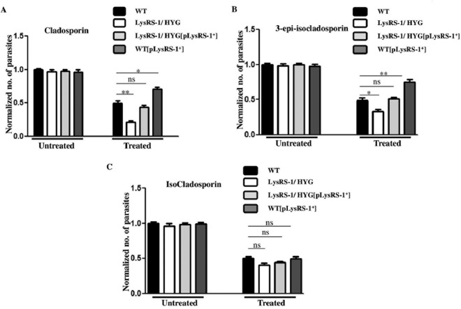 FIG 8 