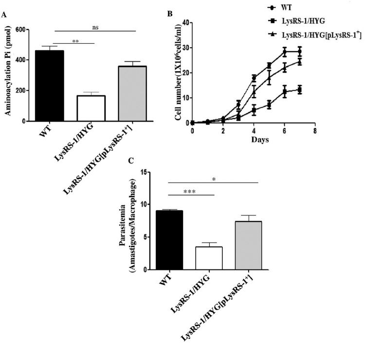 FIG 6 