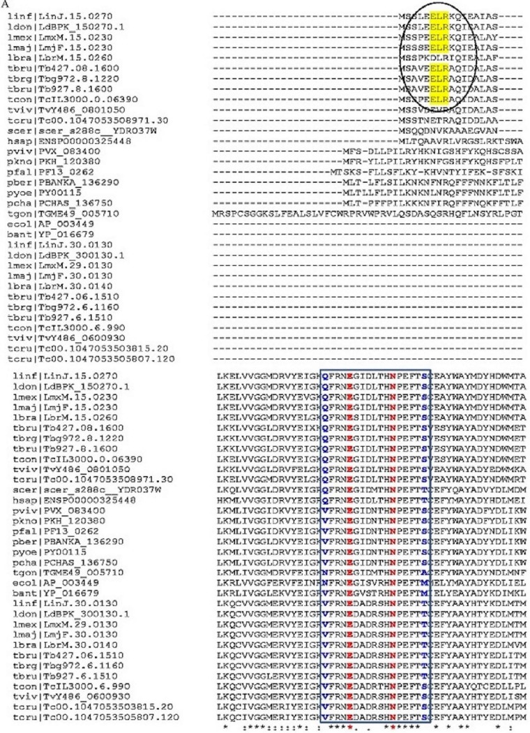 FIG 1 