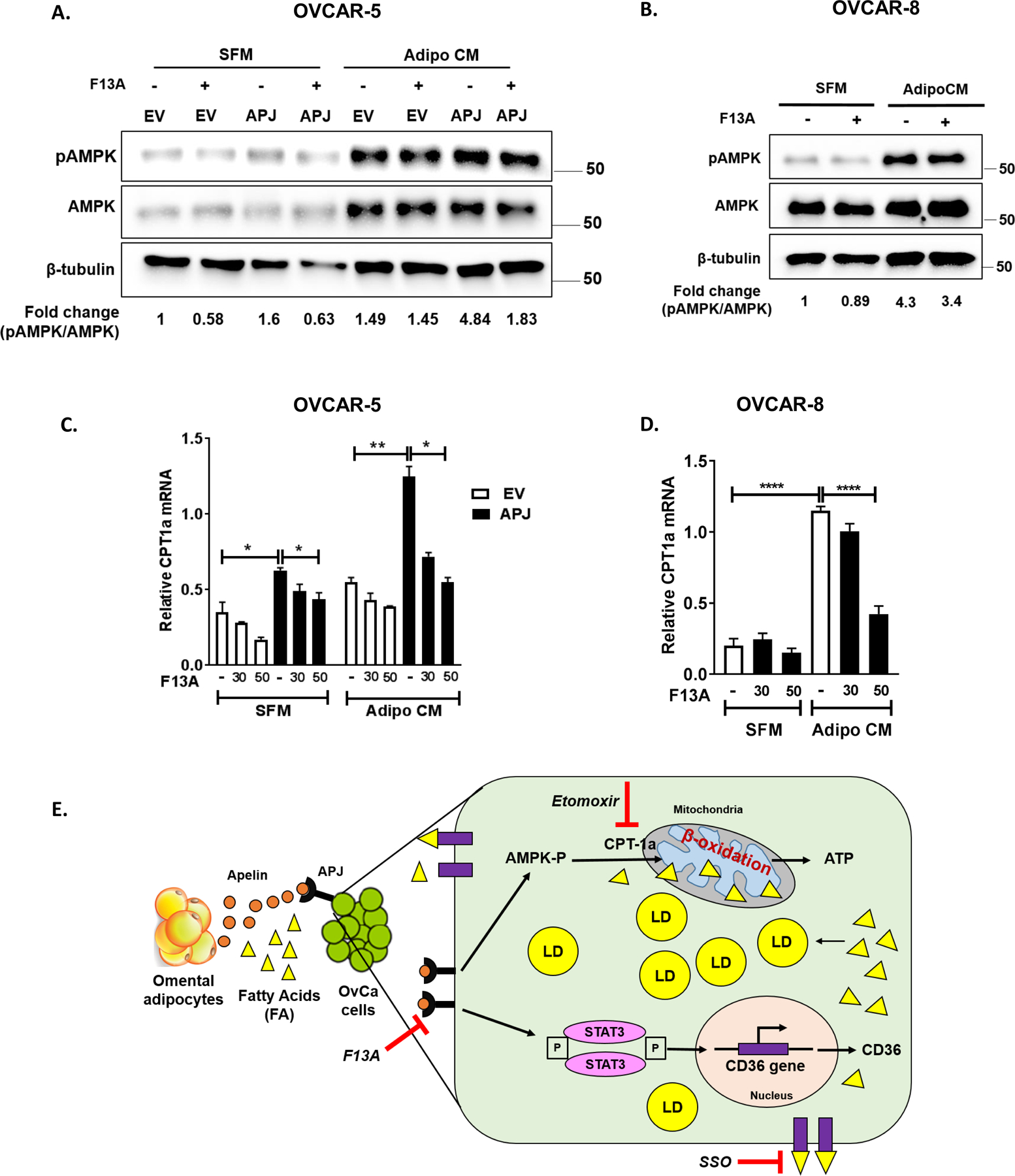 Fig 6.