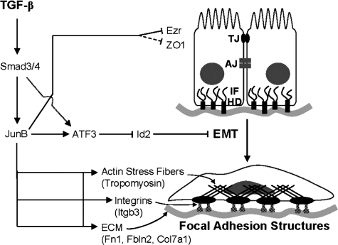 Figure 9.