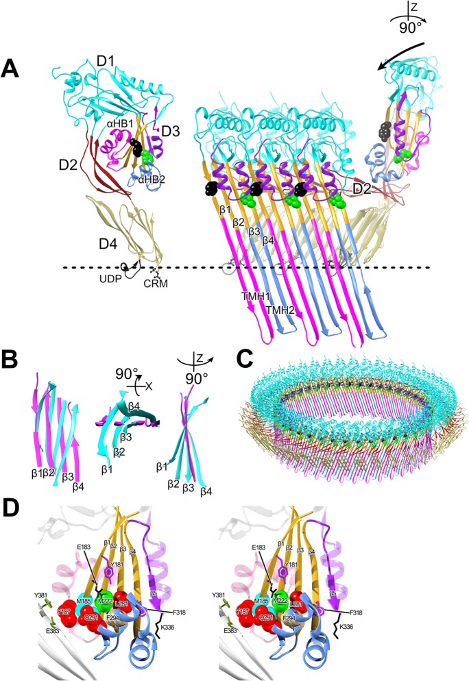 FIG 1