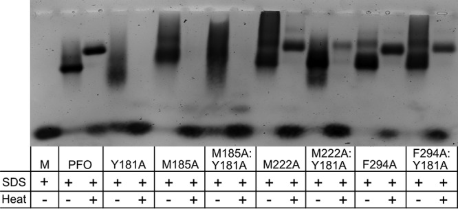 FIG 3