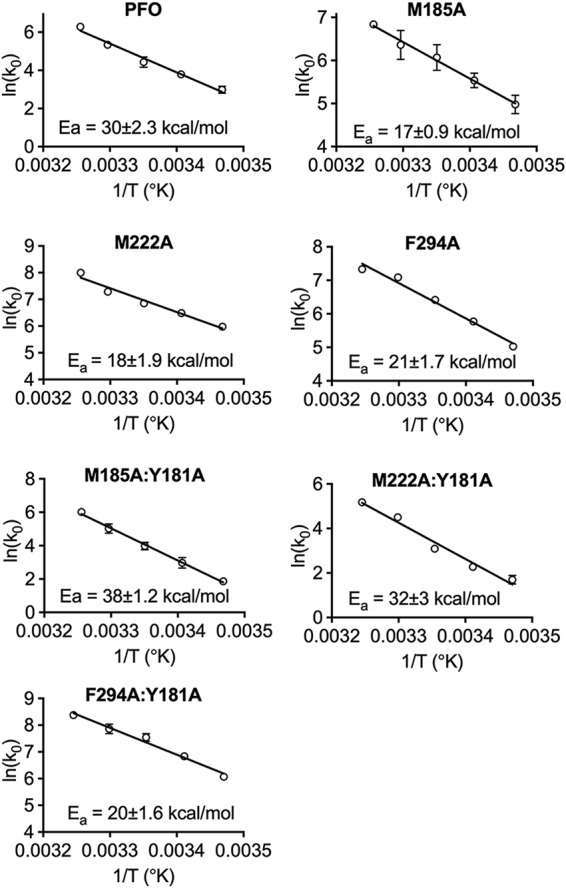 FIG 2