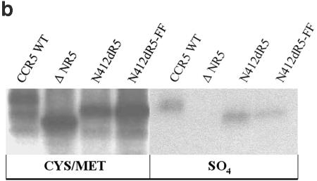 FIG. 7.