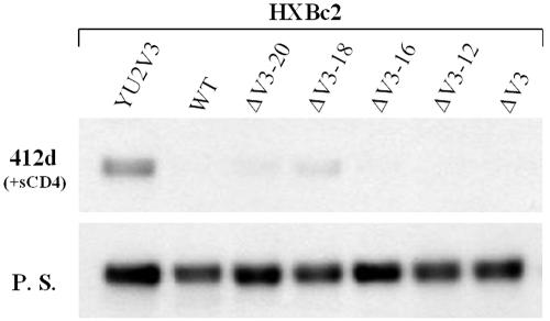 FIG. 5.