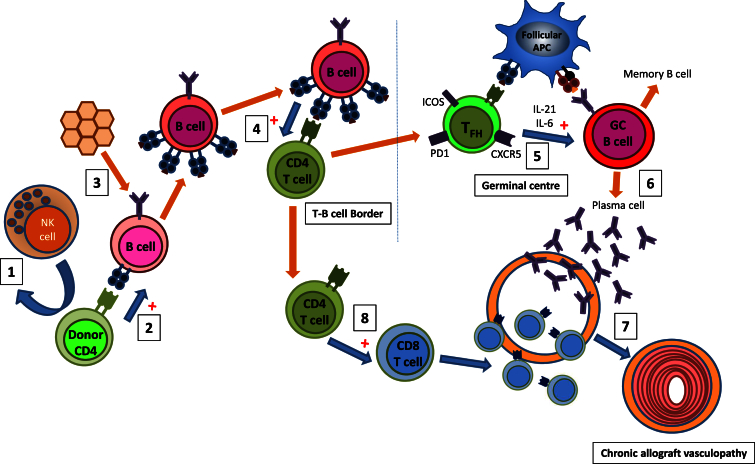 Figure 7