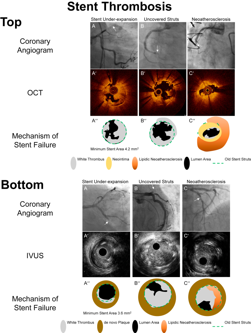 Figure 4