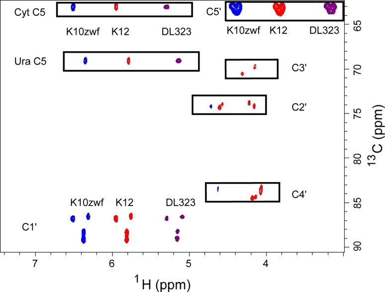 Fig. 2