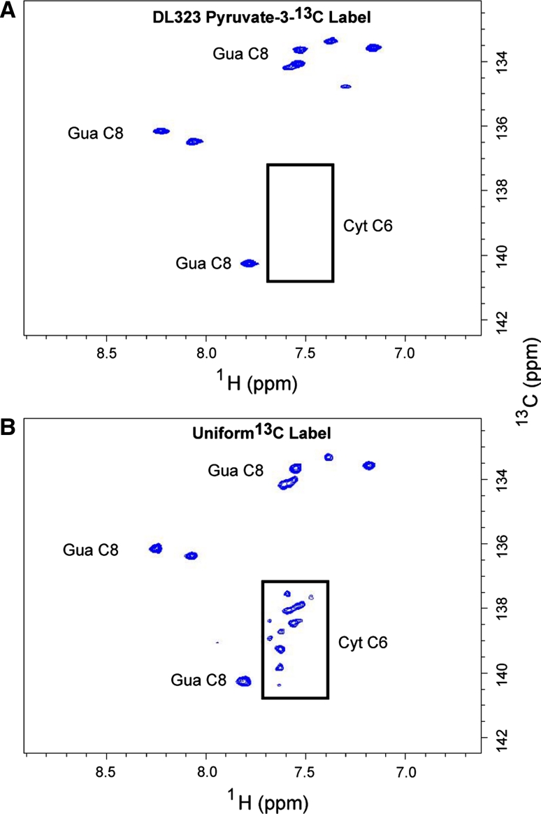 Fig. 5